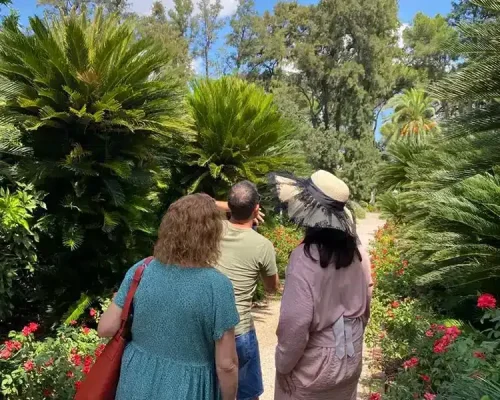 visita-campos-valencia-naranja